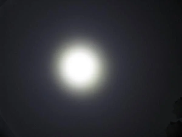 IMG 1979.JPG эмджи