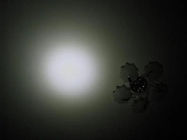 IMG 1991.JPG узкий боря