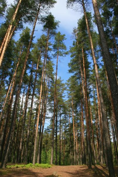 Изображение 016