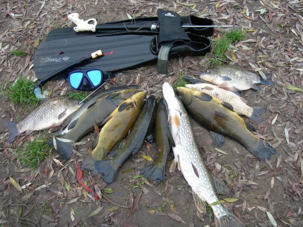 Изображение 148