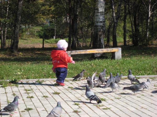 Я сказал:"Ко мне!"