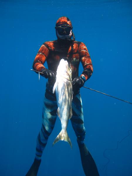 Job-fish... Now jobless ;)