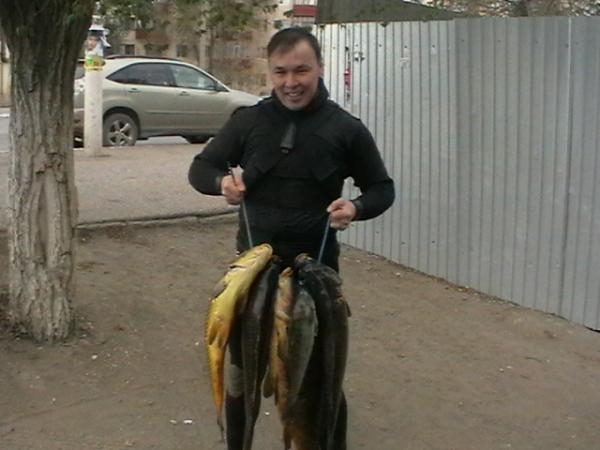 Карп на 8.6кг и сазаны 5.6кг пойманы на реке Илек в черте города. Дома переоделся в гидрач, через 15 минут на речке охочусь. ЛАФА