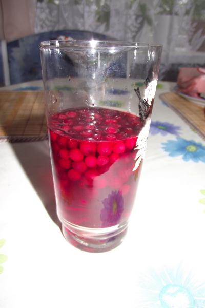 Клюквеный морс