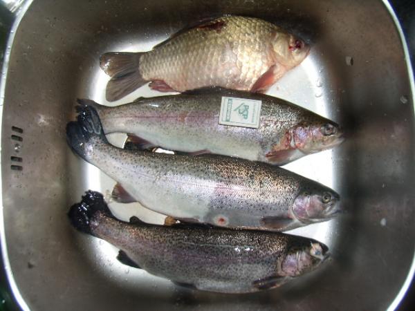 количество?- нет, качество!)