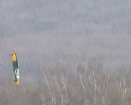 Копия PICT0049