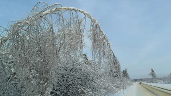 ледяной дождь в Шатуре (10)