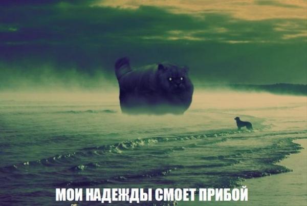 ллллл