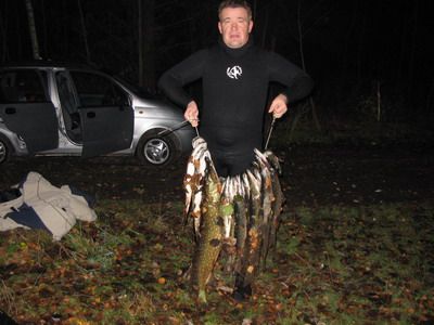 Максимальный улов в Финском заливе (26 щук от 1,5 до 8 кг)