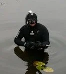 Медведица