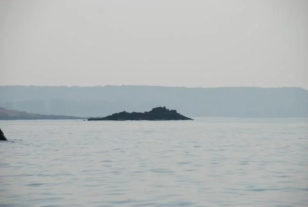 место где водятся монстры