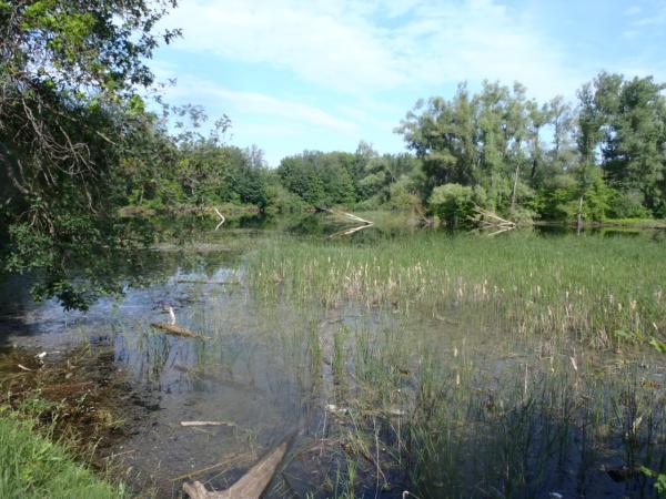 место охоты