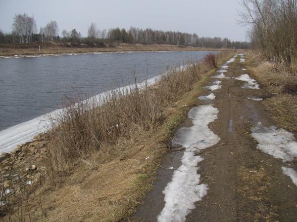 Морозки