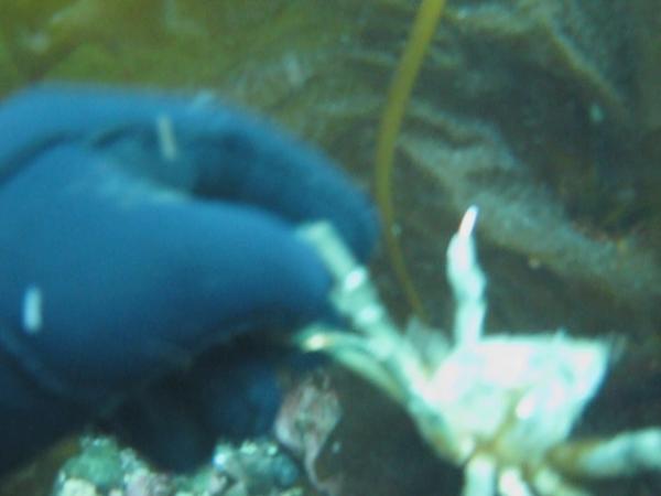 MVI 0015 Frame   463