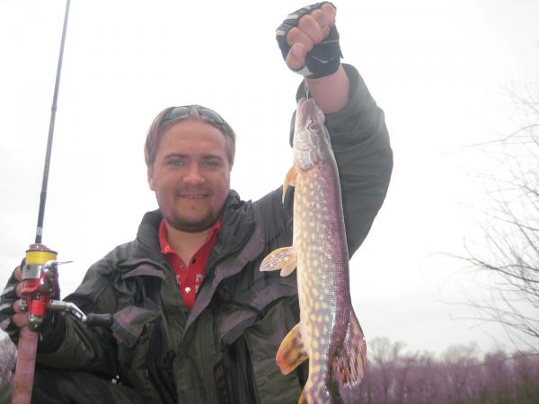 На ерике такая чуть ли не с каждого заброса. Приятно...