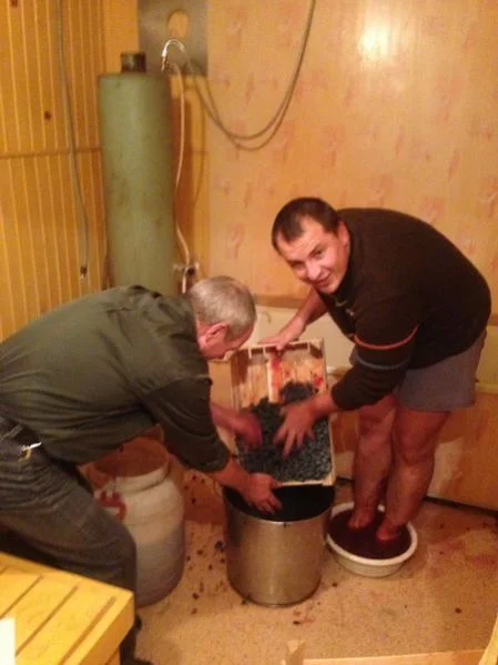 Начинаем, скидываем виноград