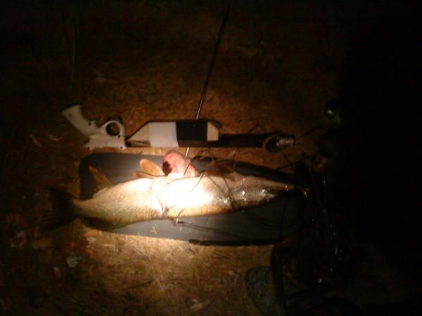 ночной трофейчик