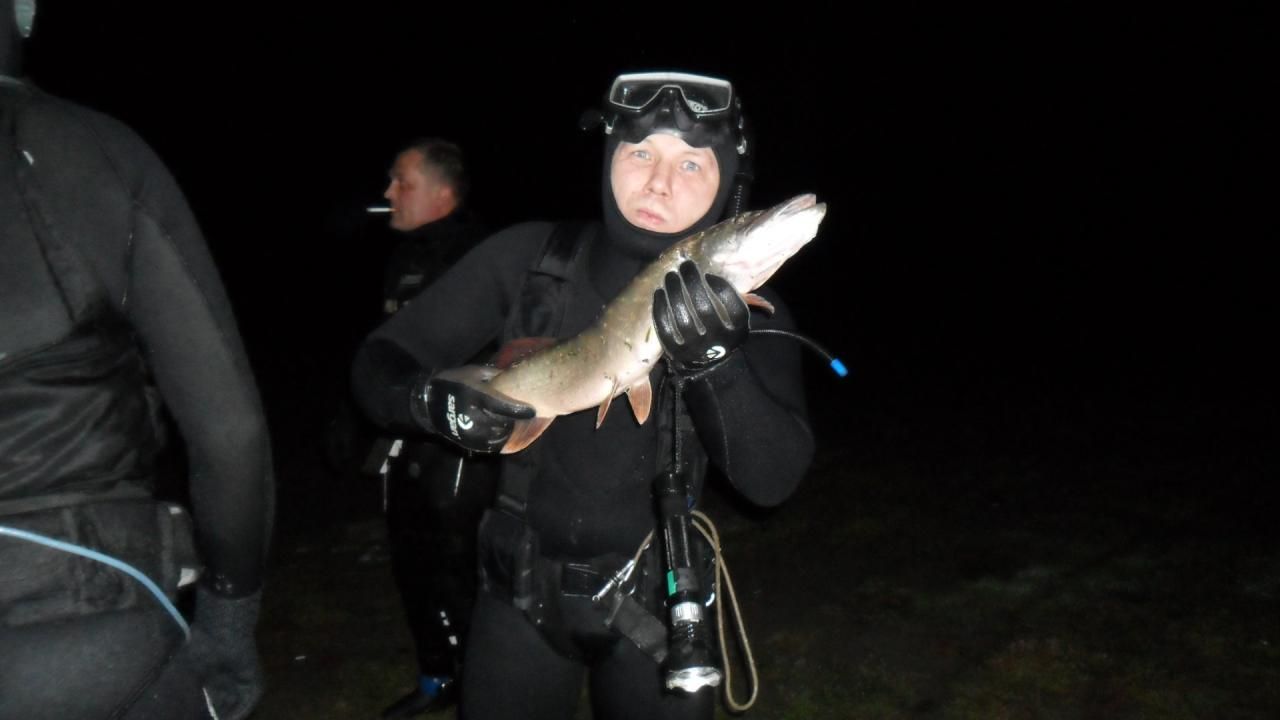 Новонырялки (15)