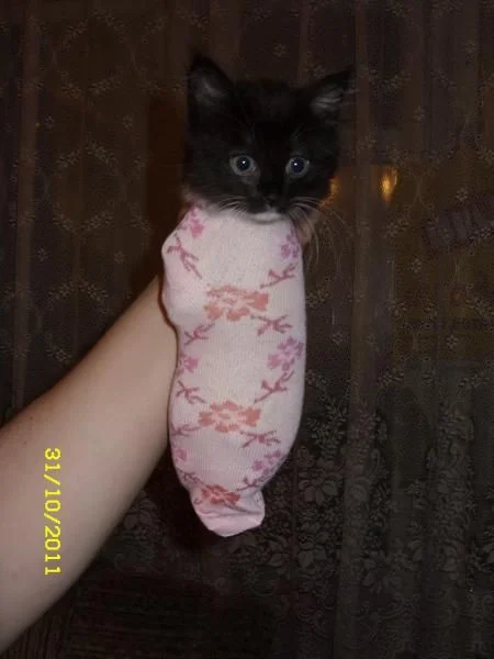 Ну как я вам?