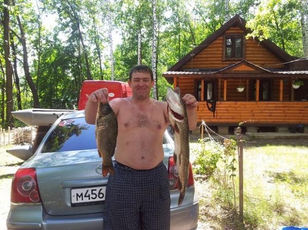 Обитатели мутных комышей