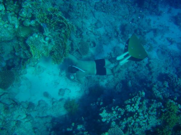 осматриваемся