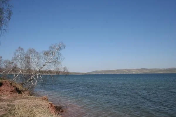 оз.Большое, Красноярский край, Шарыповский район, д.Парная