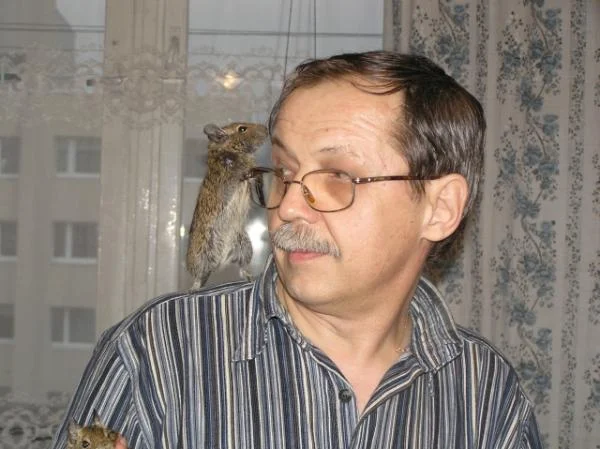 Первое знакомство