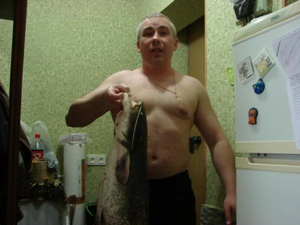 первый сомик