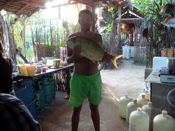 первый пилагик