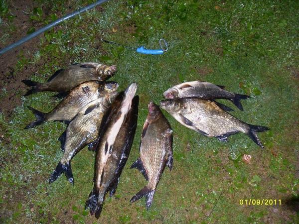 Подлещичков насчёлкал на копчушку