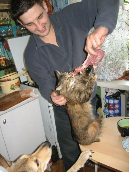 поймал ворюгу