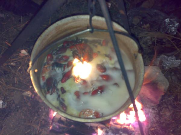 раки,варю