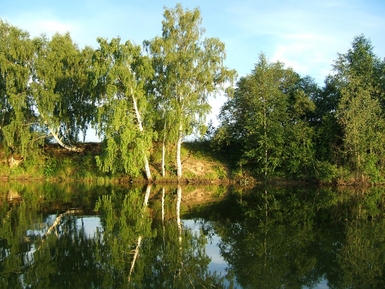 Река Юхоть , Ярославской обл.ЛЕТО 2006 01 080