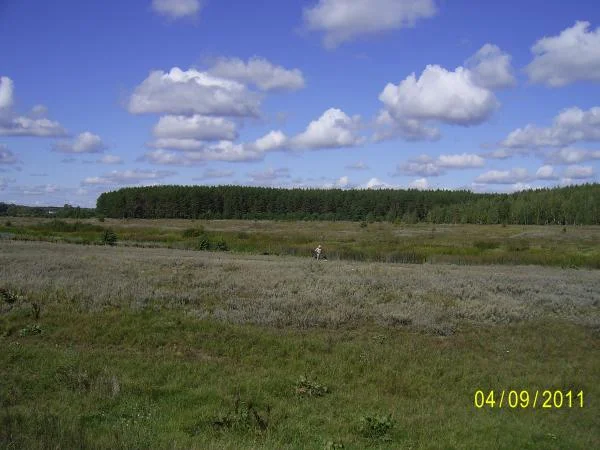 с Кривец