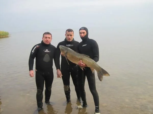 саратов.. бабаевские мели..белый амур