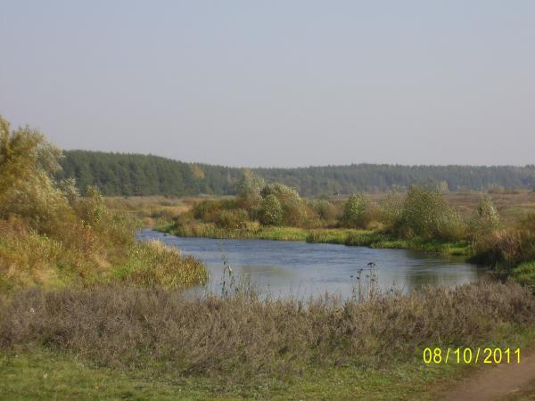 село Кривец