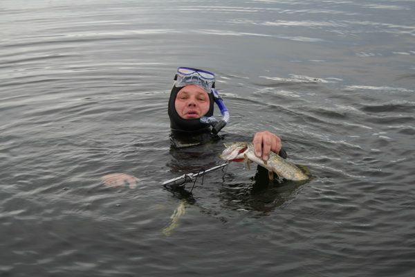 ЩУЧКИ С КОМСОМОЛЬСКОГО