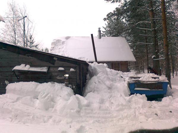 Снежная зима 2011