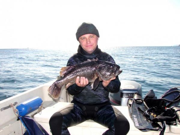 Темный окунь 3,1 кг. Приморский край, о. Русский, осень 2007.