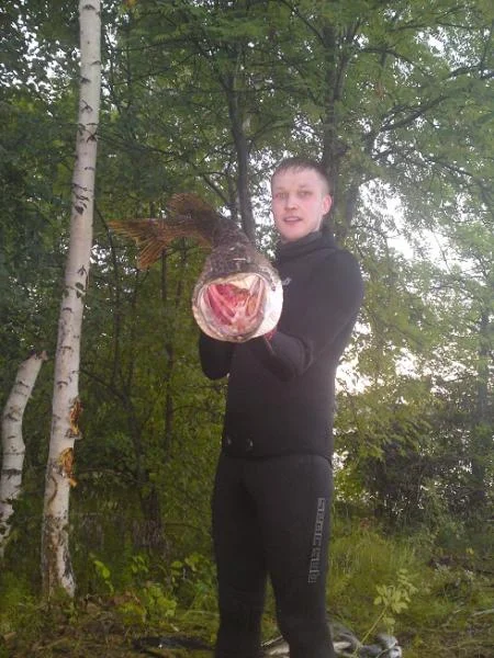 трофей
