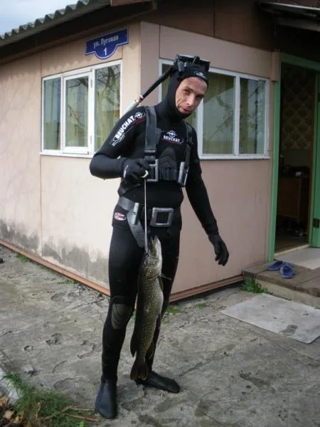 Цна