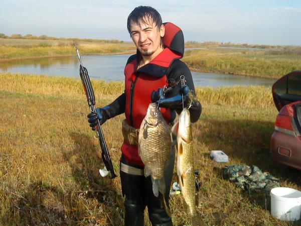 Утренний заплыв