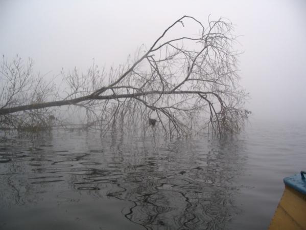 в ноябре на волге