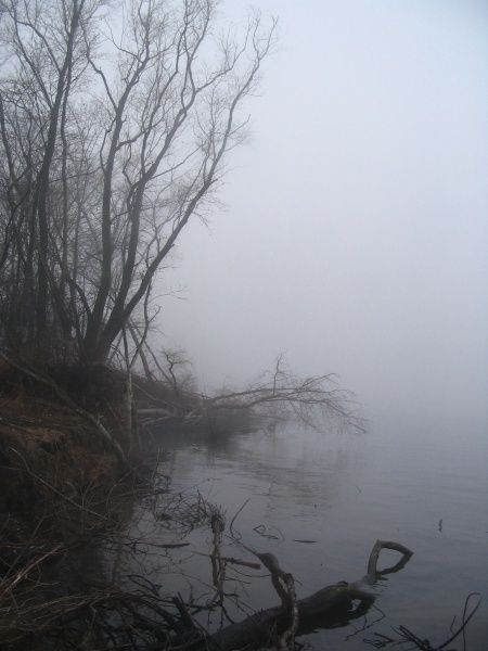 в ноябре на волге2