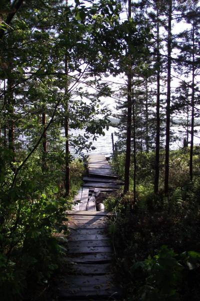 В предвкушении