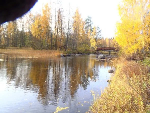 В воде чего только не плавает