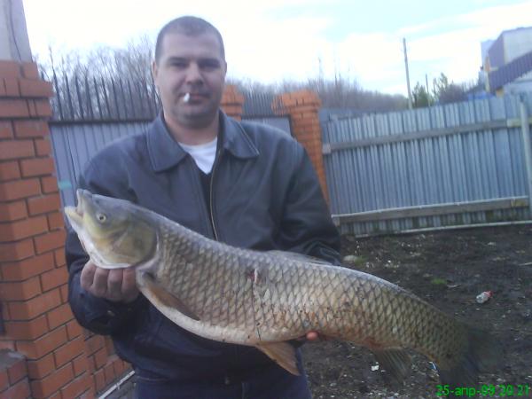 В запрет, начало положено 2009г