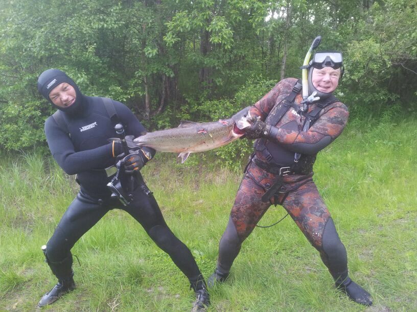 Заполярье
Если Друг оказался вдруг...