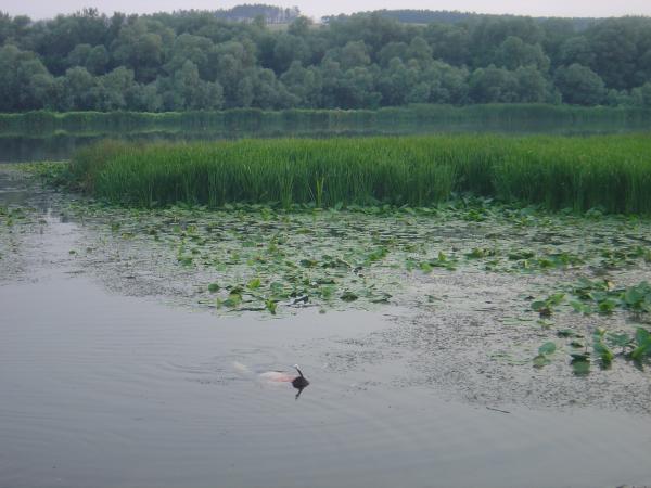 здесь она и жила  !!!