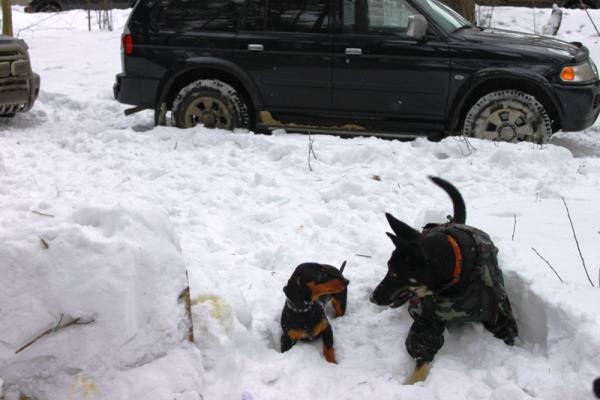 Знакомство с Кирой